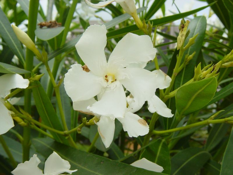LE`NgEi|j